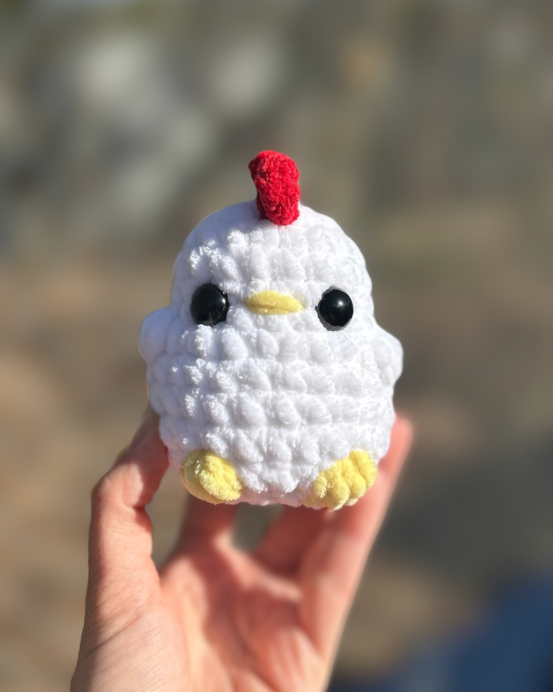 Chicken