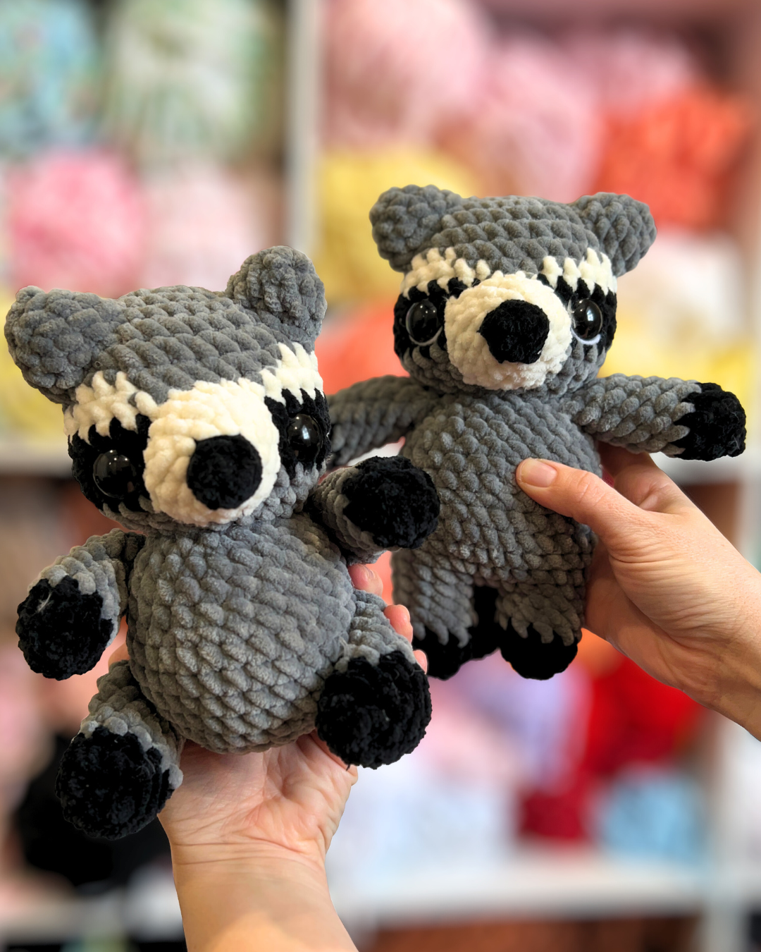 2 in 1 Raccoon