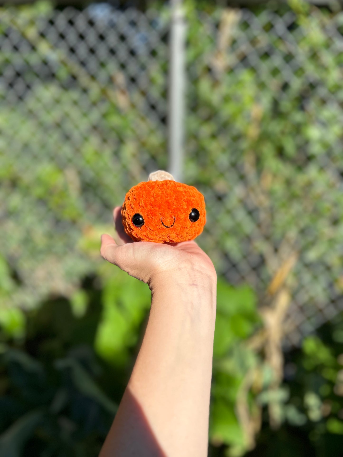 Little Pumpkin