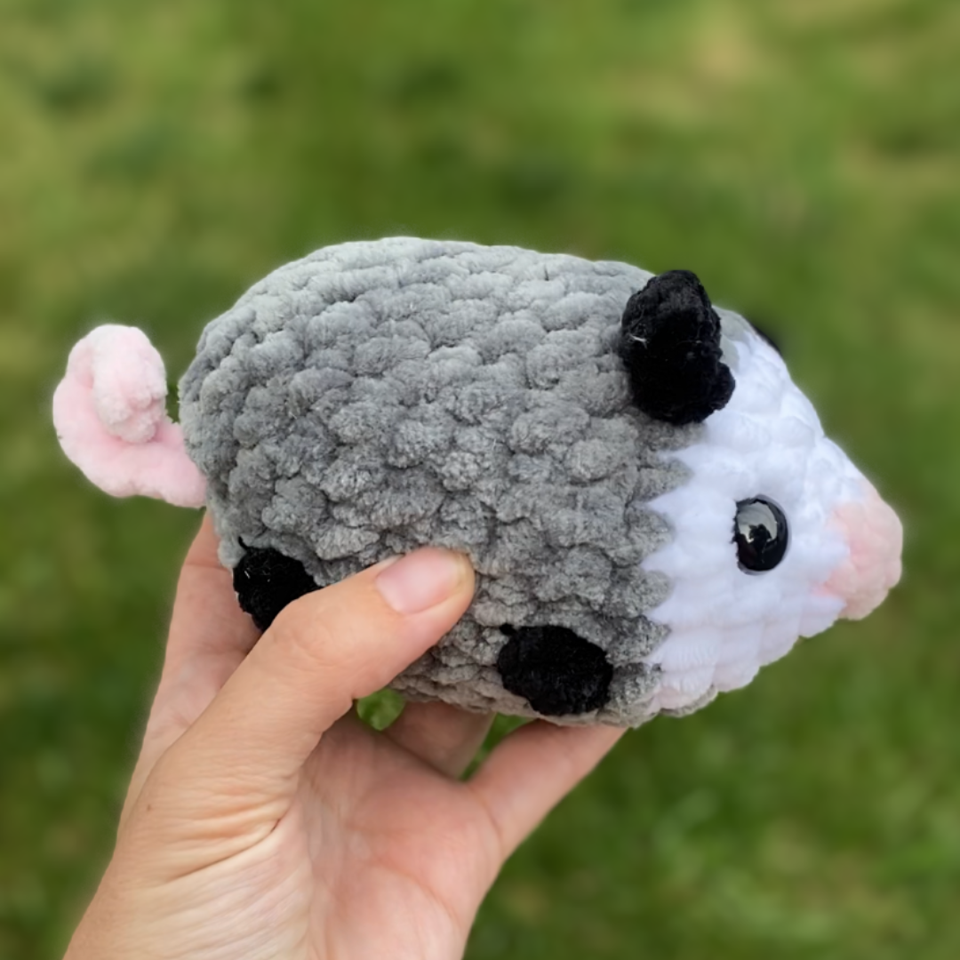 Opossum