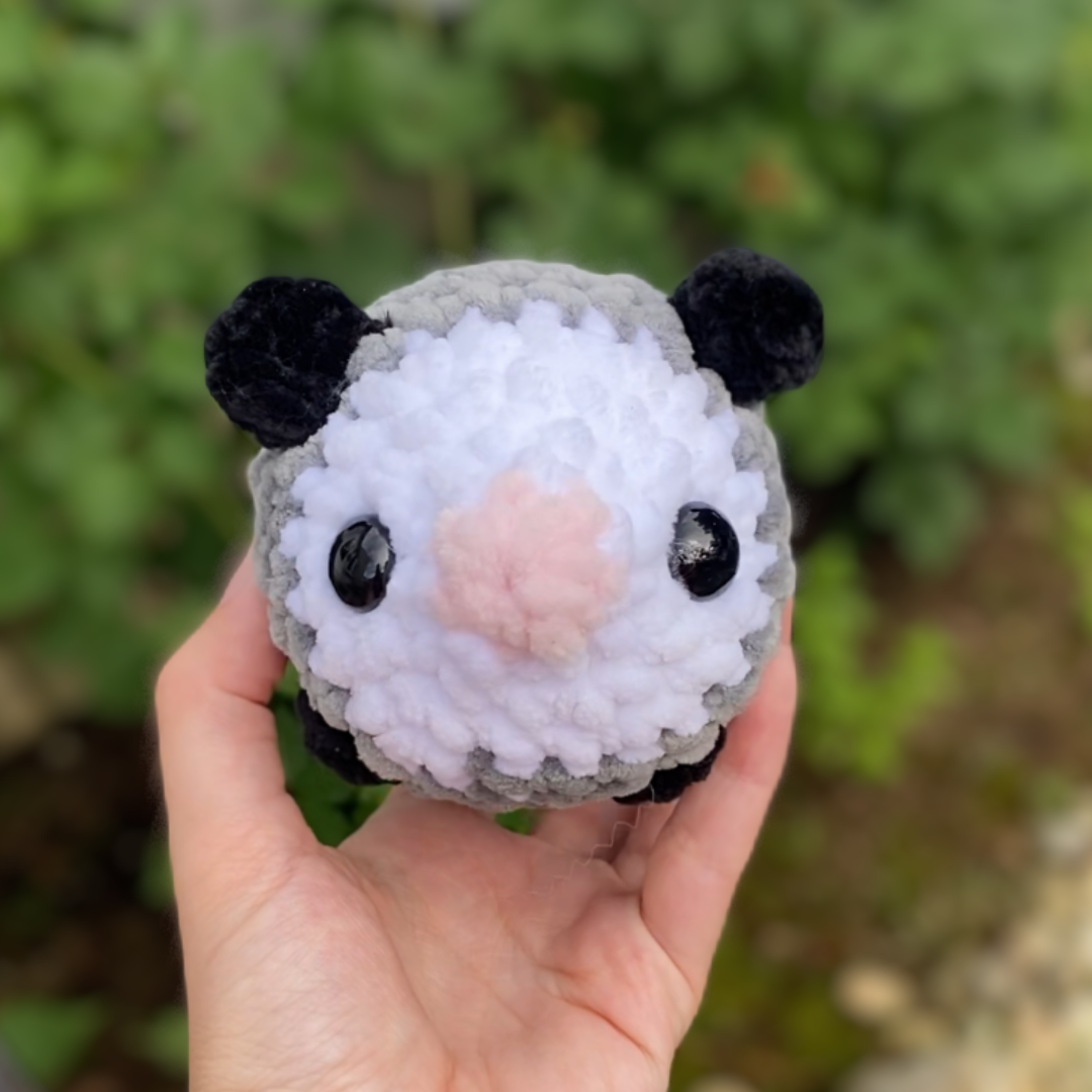 Opossum