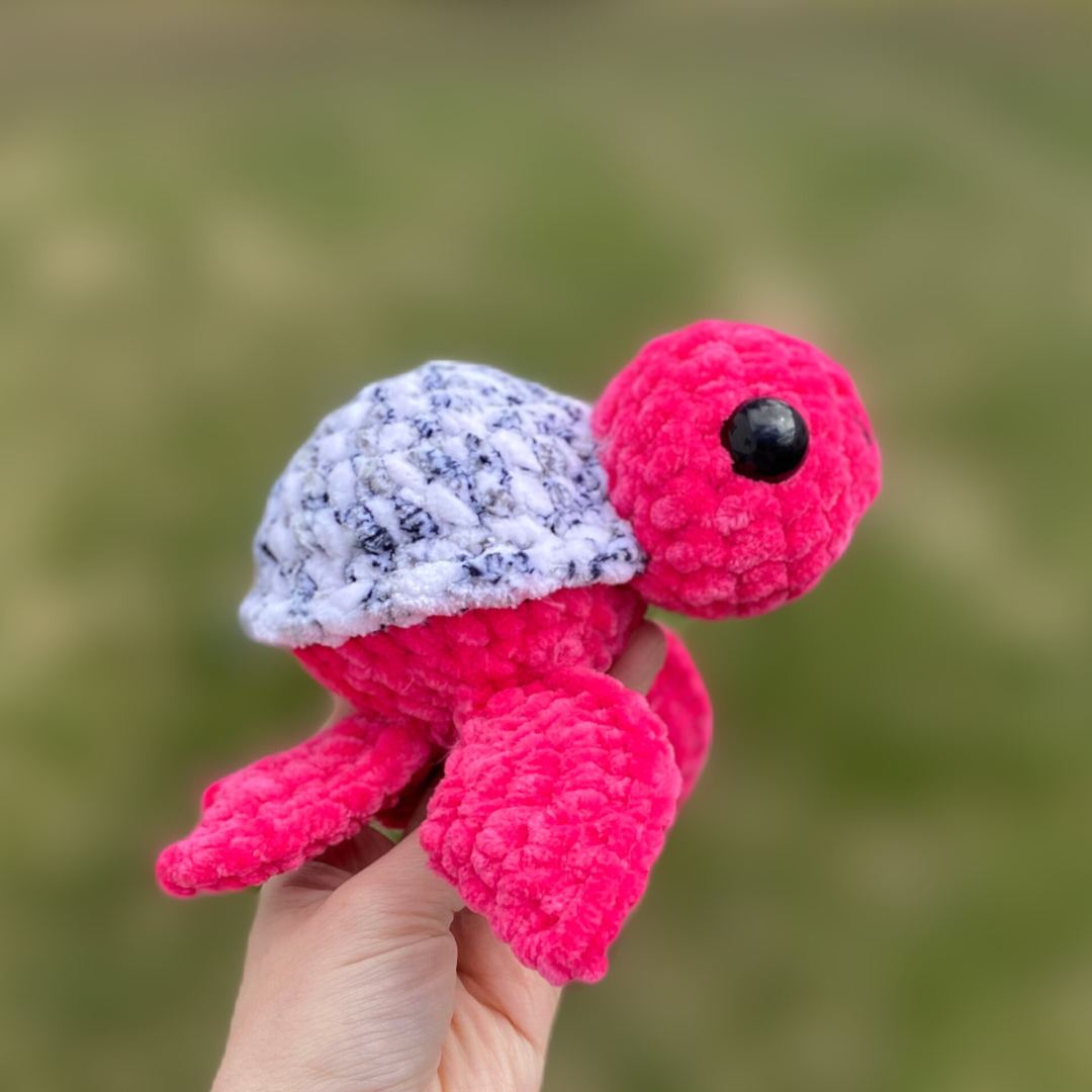 Dragon fruit turtle