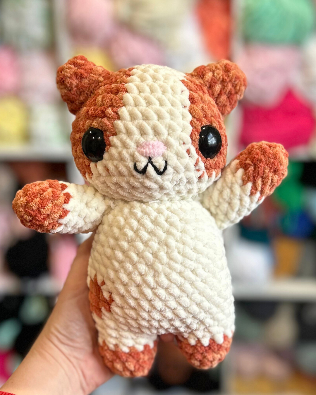 Orange and white kitty