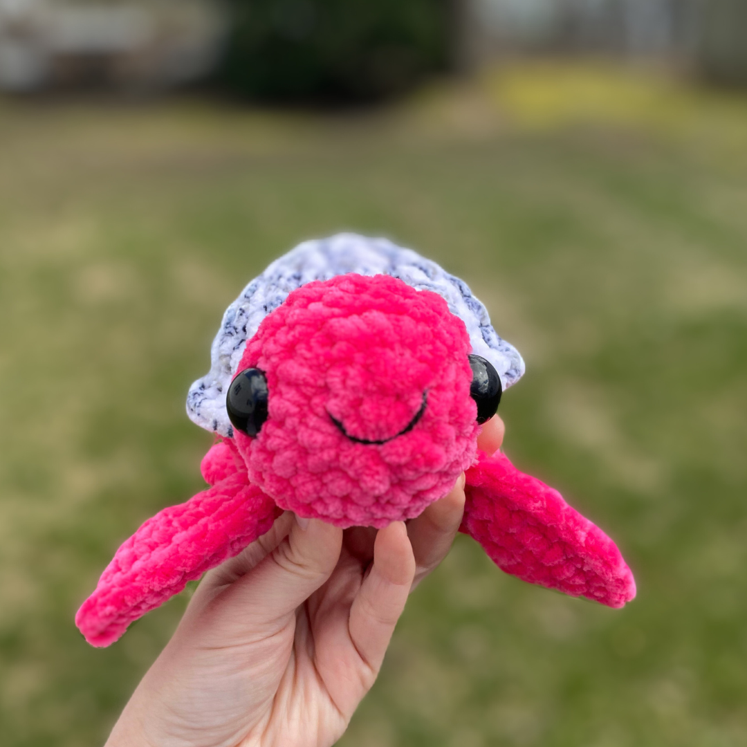 Dragon fruit turtle