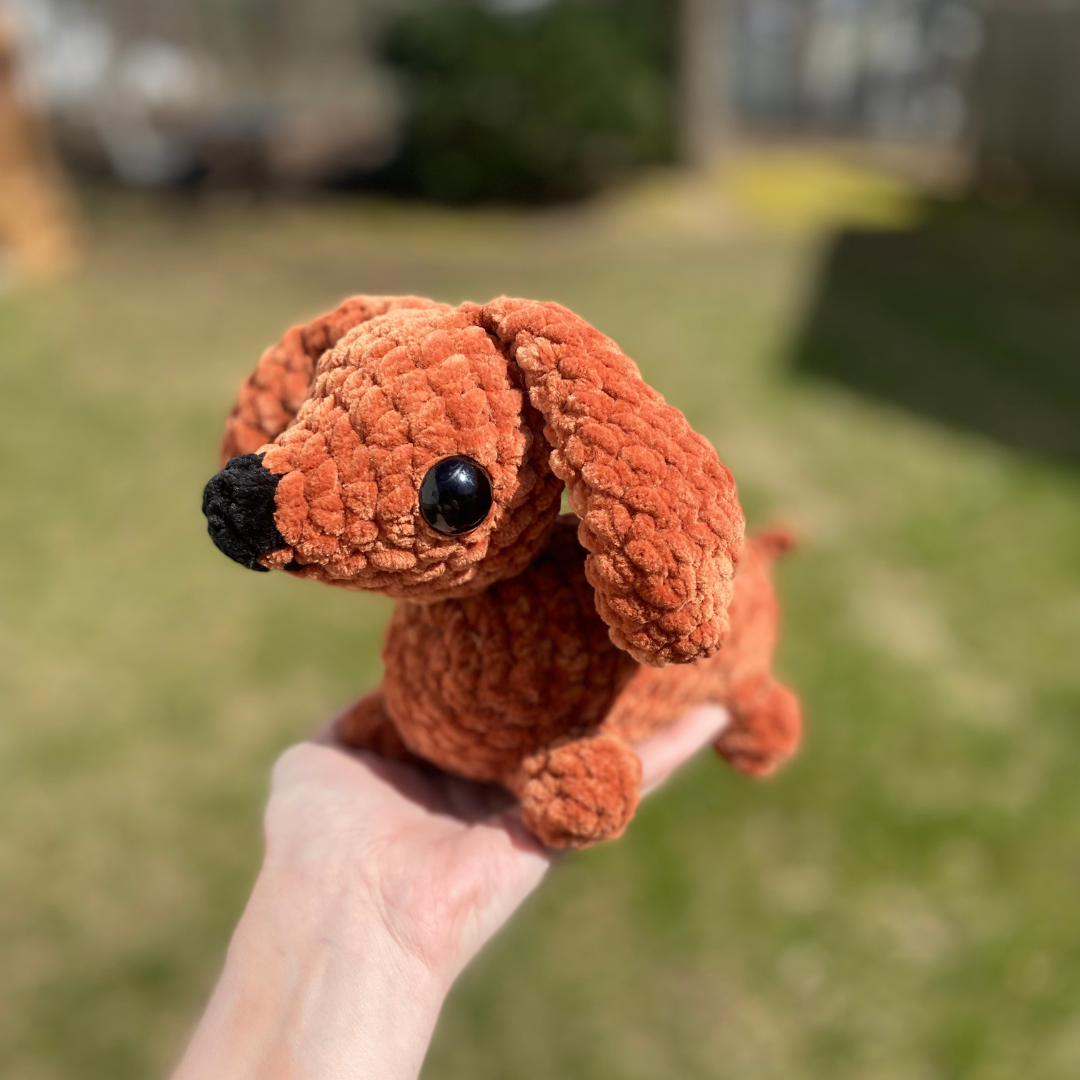 dachshund doggy