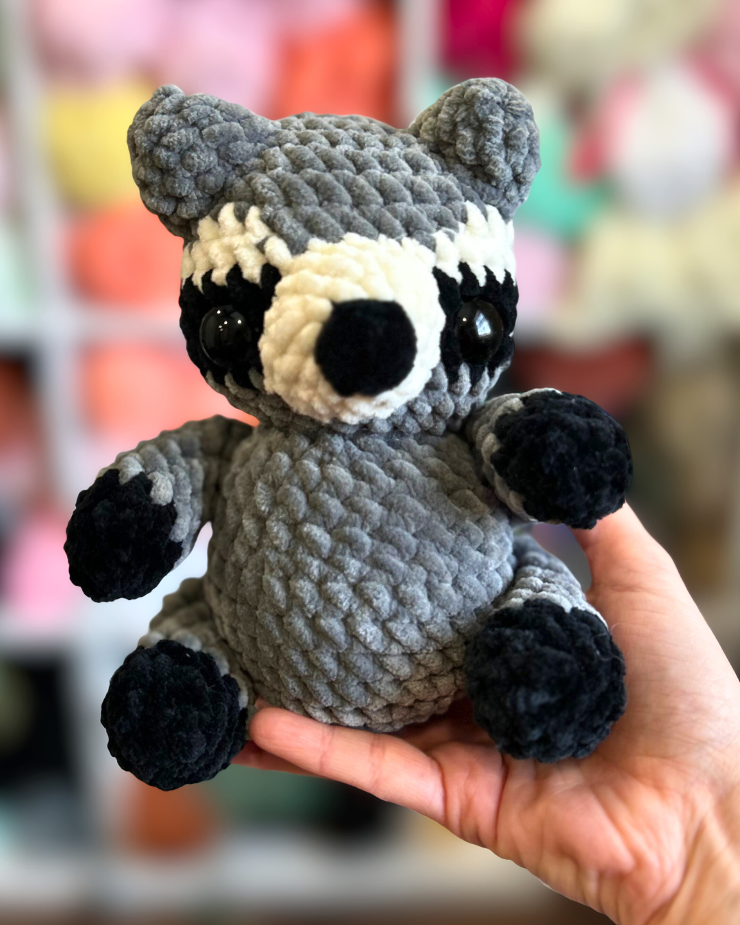 2 in 1 Raccoon