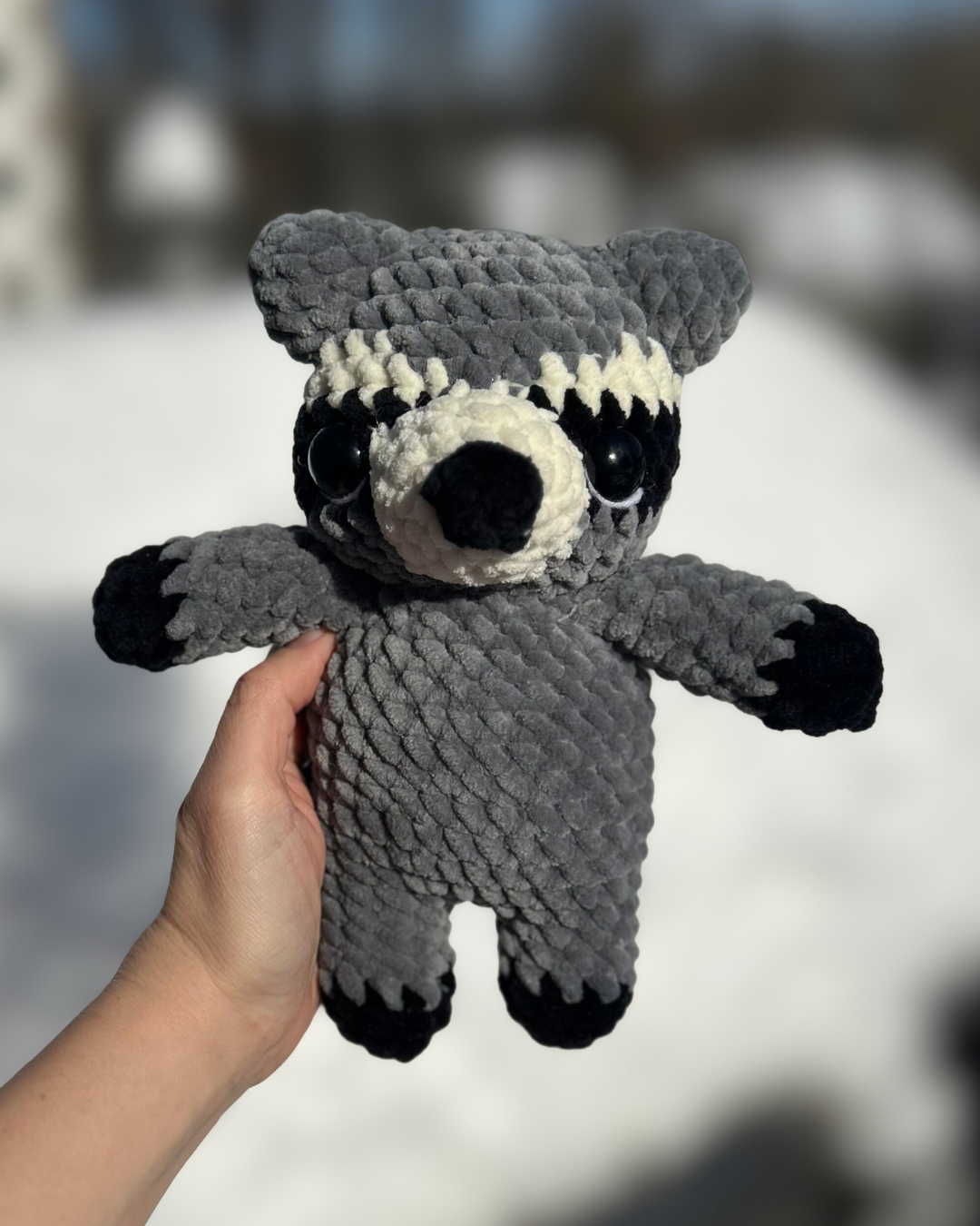 2 in 1 Raccoon