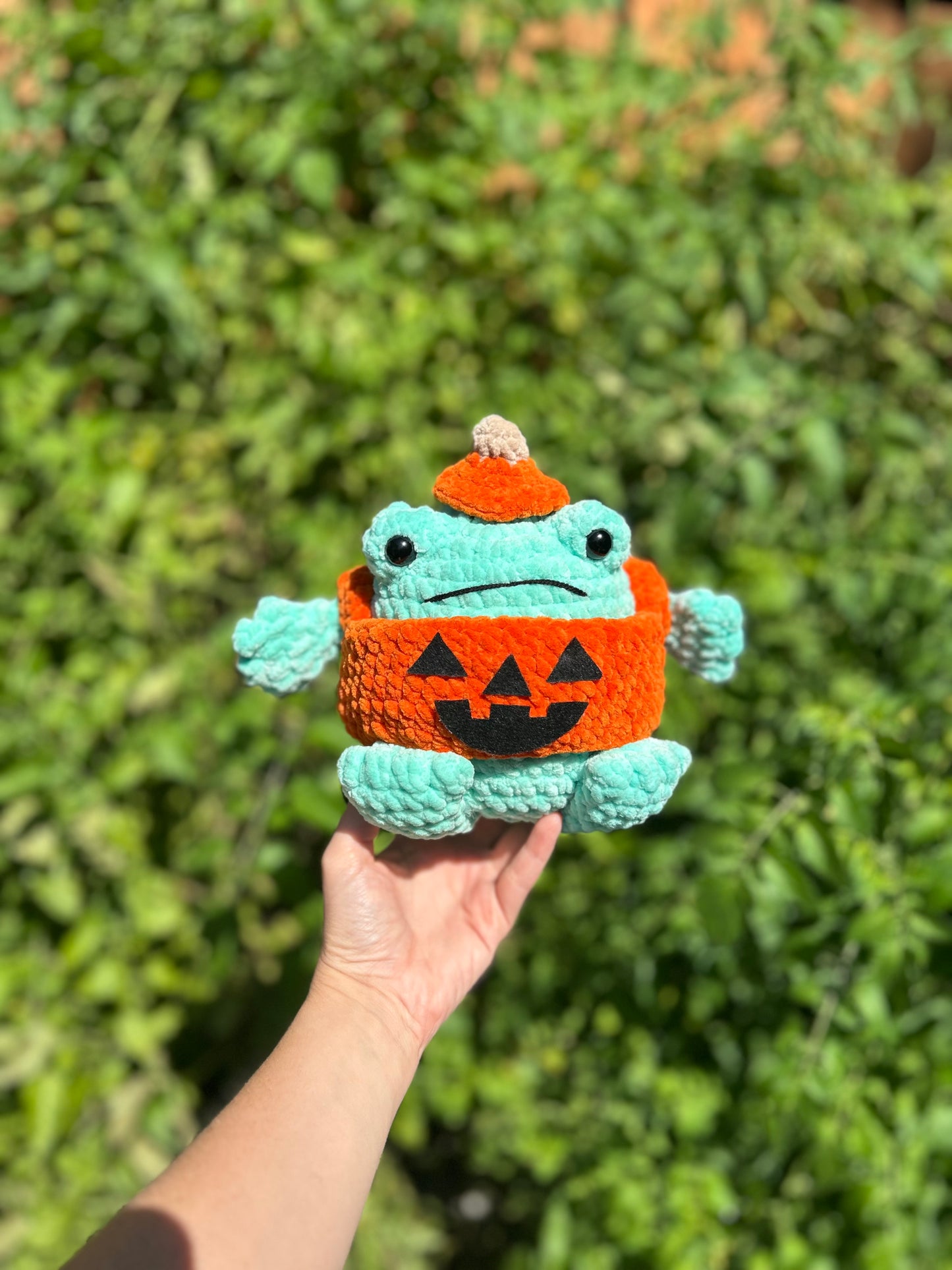Pumpkin Frog