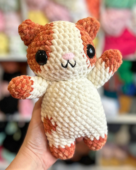 Orange and white kitty